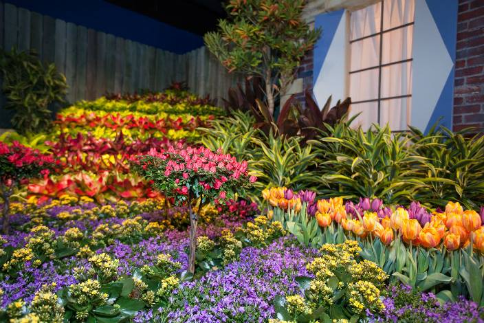 2017 Chicago Flower Show Trip at Navy Pier, Chicago