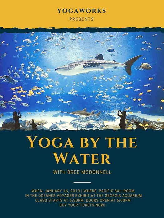 Yoga By The Water With Bree At Georgia Aquarium