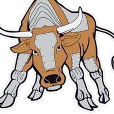 FIRST Team 1891 - The Bullbots