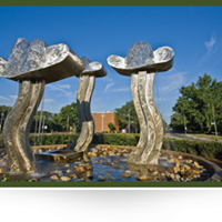 Walbridge Park
