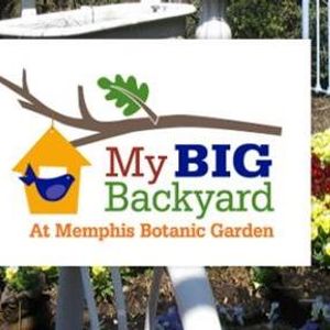 Zta Lads And Legacies At My Big Backyard Memphis Botanic Gardens