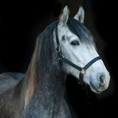 J-Dot Stables