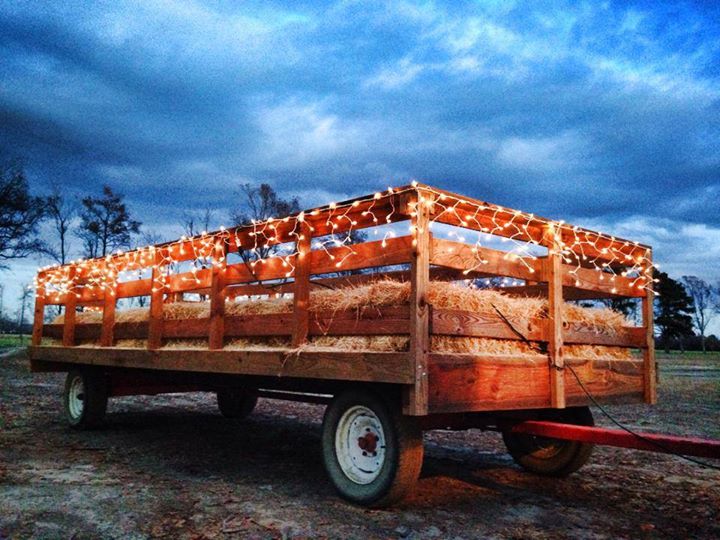 Christmas in the Country Craft Show at Old River Farms, Burgaw