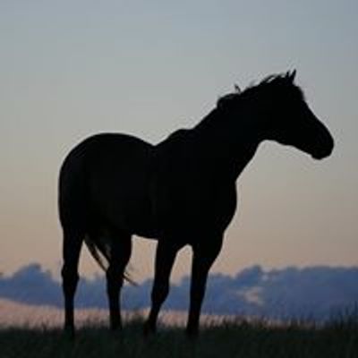 Mahlstedt Ranch Inc.