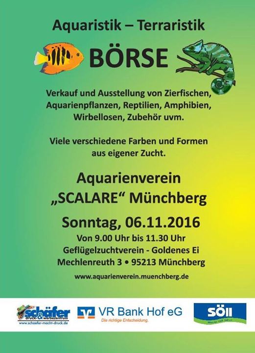 Aquarsitik Terraristik Borse At Aquarienverein Scalare