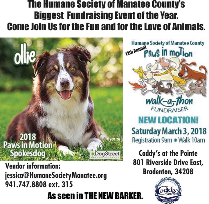 Paws In Motion At Caddy S At The Pointe Bradenton