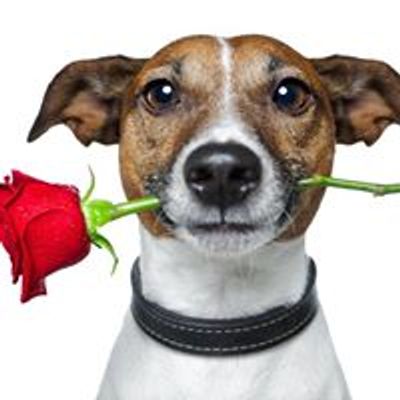 Fit & flirt Freizeitnetzwerk