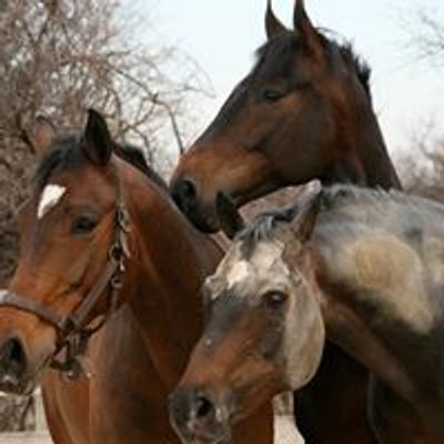 Soulful Prairies