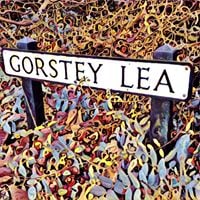 The Gorstey Lea Street Choir