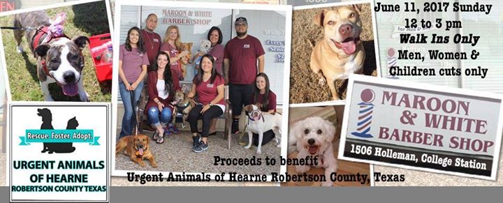 Haircuts To Benefit Urgent Animals Of Hearne Robertson Co Tx