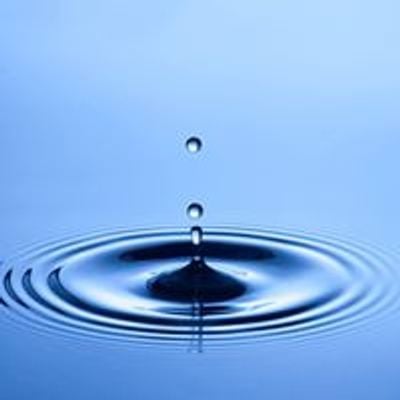 Ocean's Echo Wellness