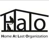 Halo For Animals