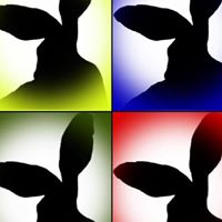 JackRabbit Slims Band