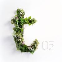 La Terrasse O2