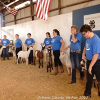 Orleans County 4H Fair