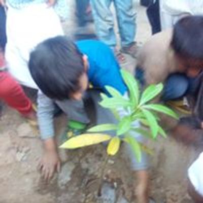 Tree Plantation drive - Chain of Planting Trees world wide
