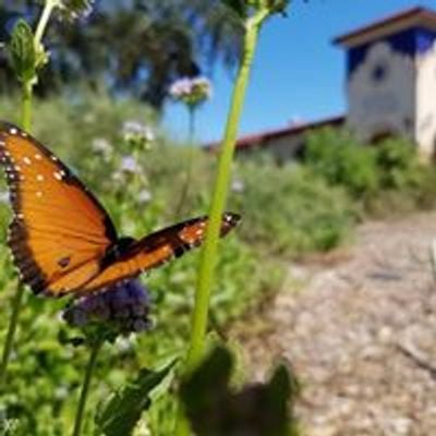 Valley Nature Center