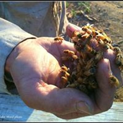 Chaparral Mountain Honey Co.