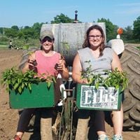 The Funkin Farm