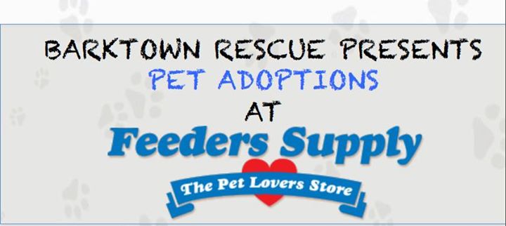 Adoption Event Feeders Supply Shepherdsville