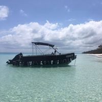 Karma Dives