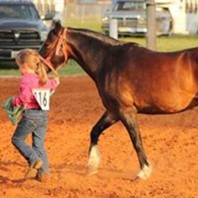 Franklin County Tn Saddle Club