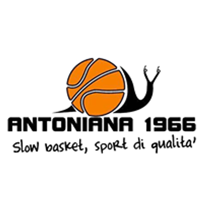 Pallacanestro Antoniana Pescara 1966