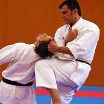 Dunedin Karate