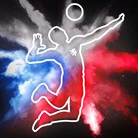 Česká volejbalová reprezentace