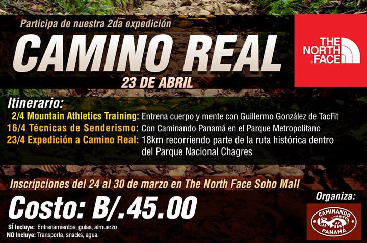 north face camino real