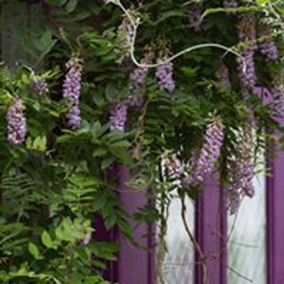 Wisteria Event Site