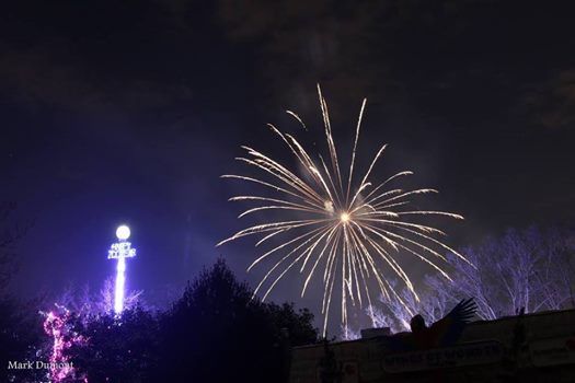 Honda Dealers Cincinnati >> Happy Zoo Year Powered By Cincinnati Nky Honda Dealers At Honda Dealers Cincinnati >> Happy Zoo Year Powered By Cincinnati Nky Honda Dealers At
