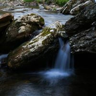 Mandala Springs
