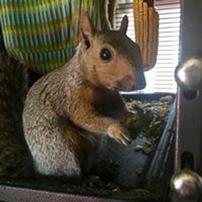 3D Wildlife Rescue & Rehab