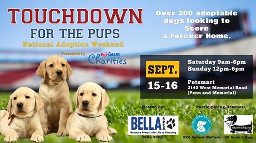 petsmart penn and memorial