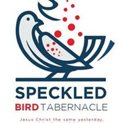 Speckled Bird Tabernacle- Kampala
