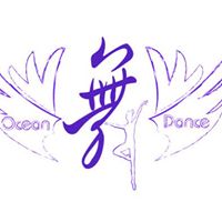 台南 海洋空中瑜珈 Air yoga•Aerial Flow Yoga•TRX健康館