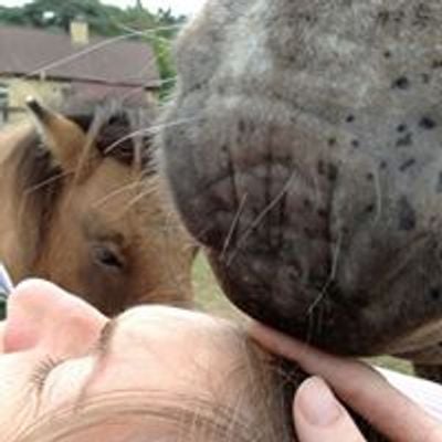 Equine Assisted Integrative Self Development