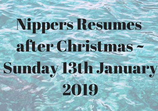 nippers resumes for 2019 at the surf club townsville townsville resumes in 2019