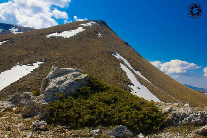 Rezultate imazhesh pÃ«r foto kurora e malit