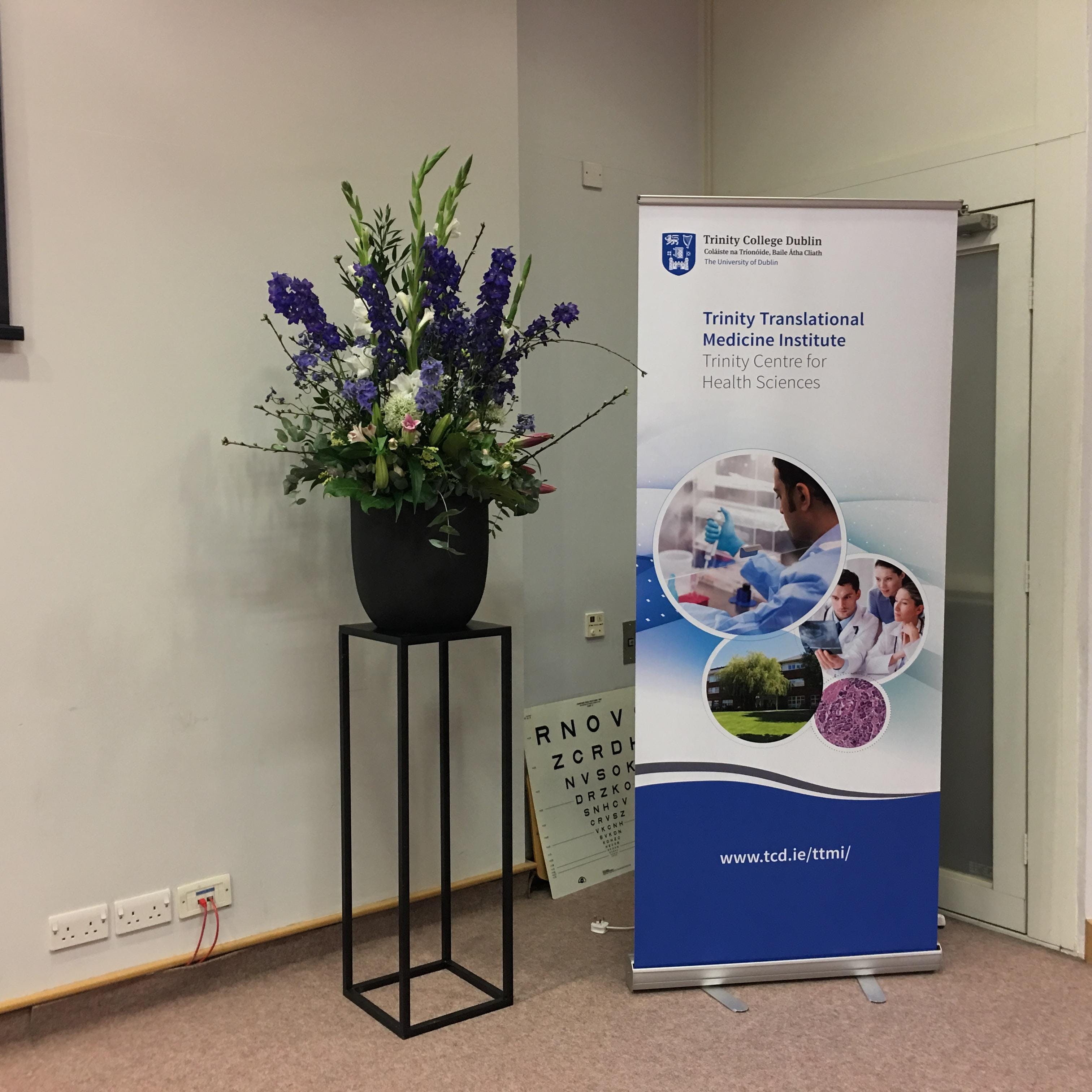 Postgraduate Career Seminar At The Durkan Lecture Theatre Dublin 8