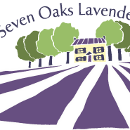 Seven Oaks Lavender Farm