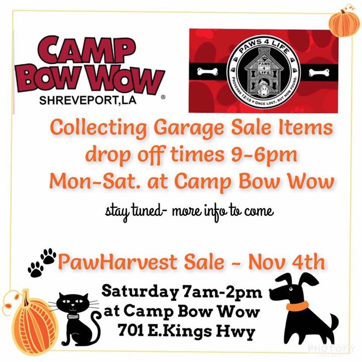 Paw Harvest Sale At Camp Bow Wow Shreveport La Shreveport