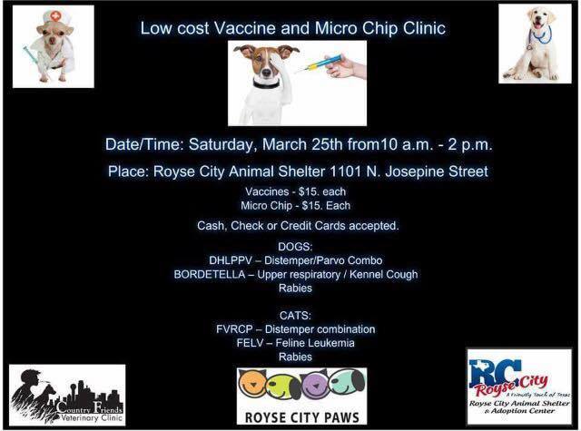 shot clinic for cats