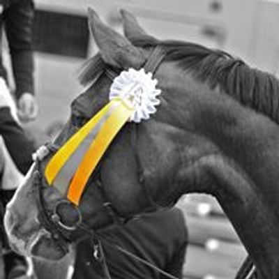 Ster Hippique