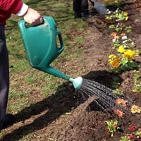 Filton Community Garden