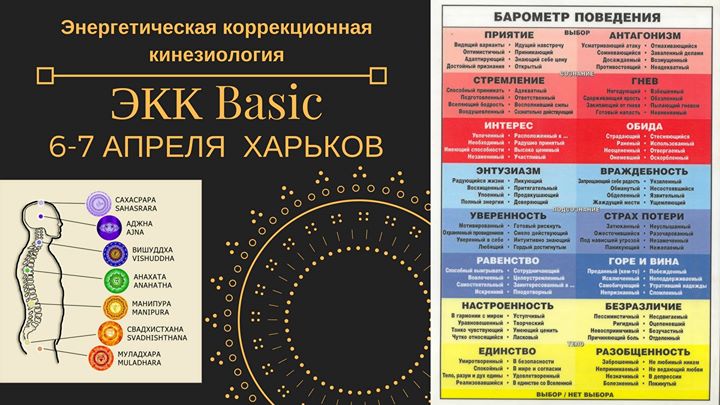 нравиться кинезиология картинки три в одном одеждой
