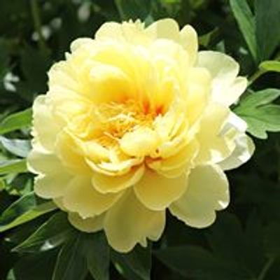 Overland Park Arboretum & Botanical Gardens