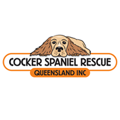 Cocker Spaniel Rescue QLD inc