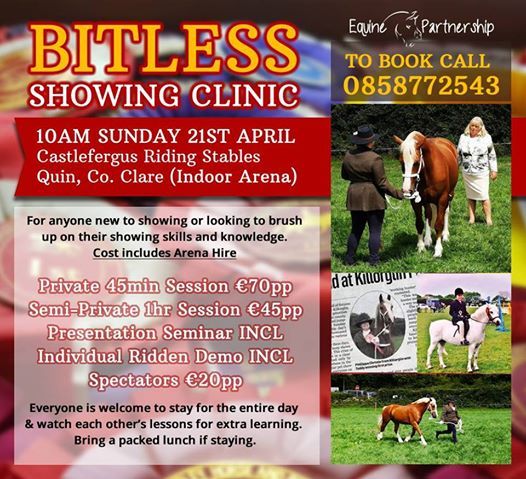 Bitless Showing Clinic At Castlefergus Riding Stables Shannon